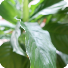 サロンイメージ