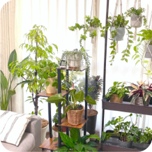 サロンイメージ