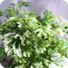 サロンイメージ