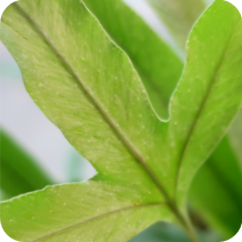 サロンイメージ